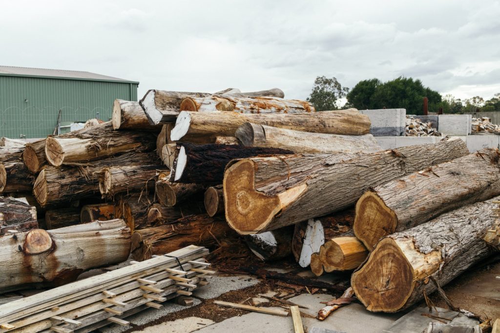 Timber-logs